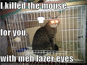 I killed the mouse  for you. with meh lazer eyes