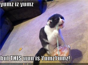 yumz iz yumz   but THIS wun is YumzYumz!