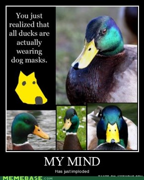 MY MIND
