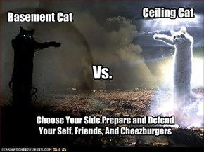 Basement Cat vs. Ceiling Cat