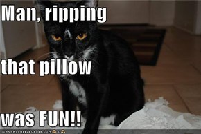 Man, ripping that pillow was FUN!!