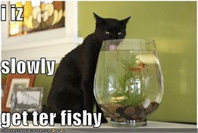 i iz slowly get ter fishy