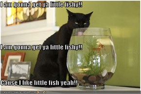I am gonna get ya little fishy!! I am gonna get ya little fishy!! Cause I like little fish yeah!!