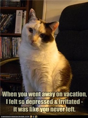 When you went away on vacation, I felt so depressed & irritated - it was like you never left.