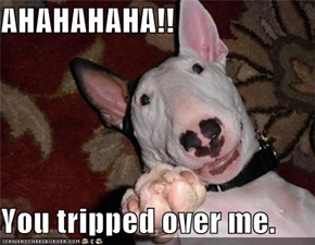 AHAHAHAHA!!  You tripped over me.
