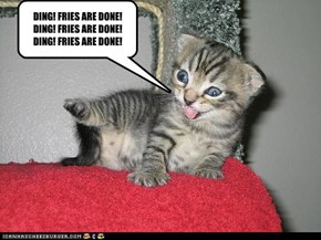 DING! FRIES ARE DONE!DING! FRIES ARE DONE!DING! FRIES ARE DONE!