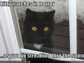 kitty watches in horror  ...as you go streaking thro the snow