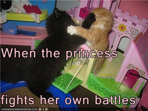When the princess fights her own battles