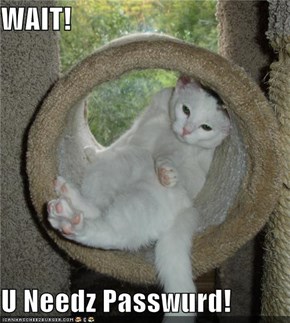 WAIT!  U Needz Passwurd!