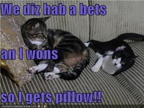 We diz hab a bets an I wons so I gets pillow!!