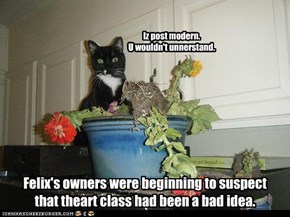 Felix's owners were beginning to suspect that theart class had been a bad idea.