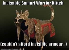 Invisable Samuri Warrior Kitteh  (couldn't afford invisible armour...)