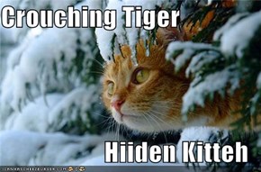 Crouching Tiger  Hiiden Kitteh