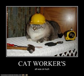 CAT WORKER'S