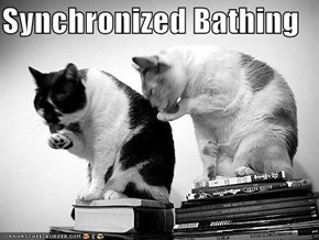 Synchronized Bathing