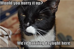 Would you hurry it up?  We're burning daylight here.