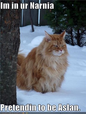 Im in ur Narnia  Pretendin to be Aslan.