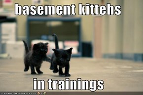 basement kittehs  in trainings