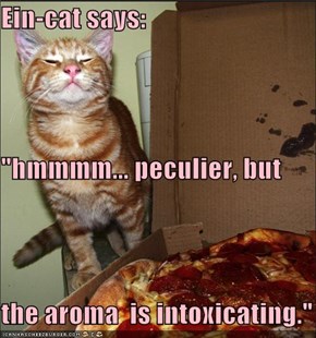 Ein-cat says: "hmmmm... peculier, but the aroma  is intoxicating."