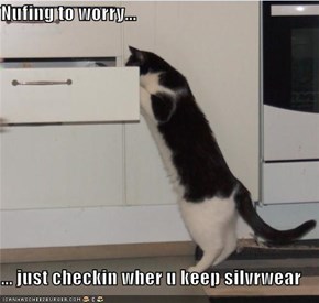 Nufing to worry...  ... just checkin wher u keep silvrwear