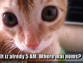 It iz alredy 5 AM. Where mai noms?
