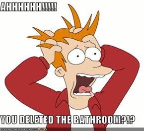 AHHHHHH!!!!!  YOU DELETED THE BATHROOM?!?