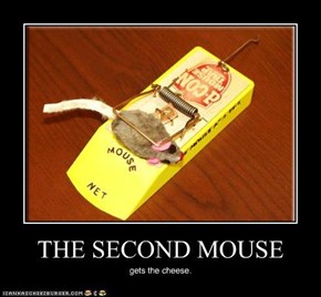 THE SECOND MOUSE