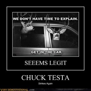 CHUCK TESTA