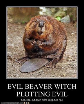 EVIL BEAVER WITCH PLOTTING EVIL