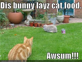 Dis bunny layz cat food.  Awsum!!!
