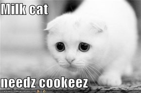Milk cat  needz cookeez