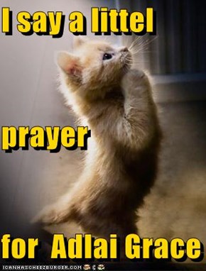 I say a littel prayer  for  Adlai Grace