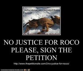 NO JUSTICE FOR ROCO PLEASE, SIGN THE PETITION