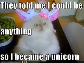 They told me I could be anything so I became a unicorn