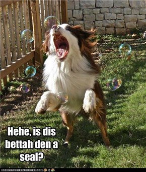Hehe, is dis bettah den a seal?