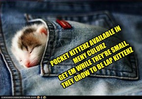 POCKET KITTEHZ