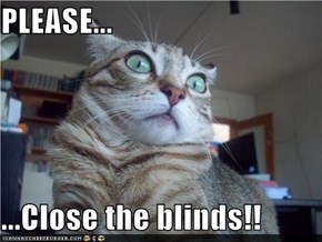 PLEASE...  ...Close the blinds!!