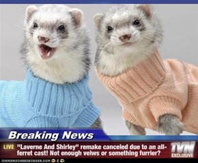 Breaking News - "Laverne And Shirley" remake canceled due to an all-ferret cast! Not enough veiws or something furrier?