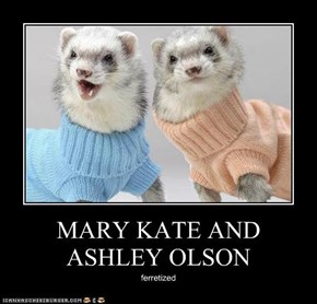 MARY KATE AND ASHLEY OLSON