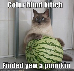 Colur blind kitteh