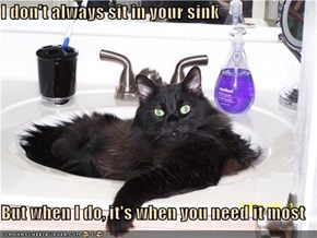 I don't always sit in your sink  But when I do, it's when you need it most
