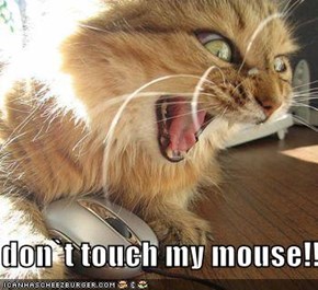 don`t touch my mouse!!!