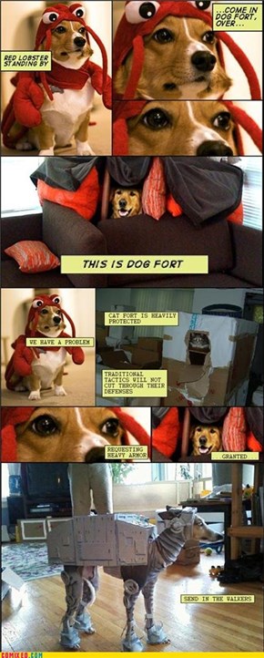 Imperial Dog Walker