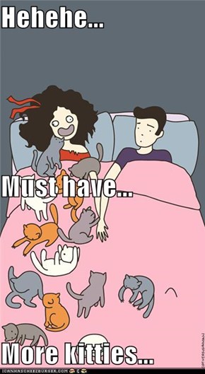 Hehehe... Must have... More kitties...
