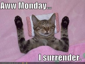Aww Monday...  I surrender.