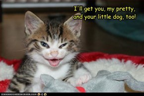 I'll get you, my pretty,and your little dog, too!