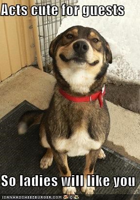 Good Dog Greg: New Food-Provider Acquired