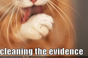 cleaning the evidence