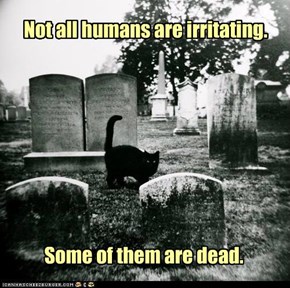 Not all humans are irritating.