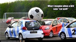 Fetch the ball! Good Yaris!